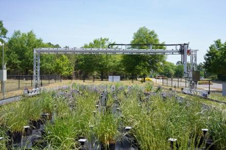 BenchBot autonomous research robot in a field